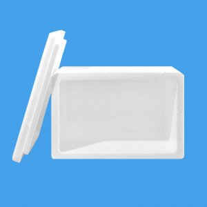 YX-5号天行（中国）