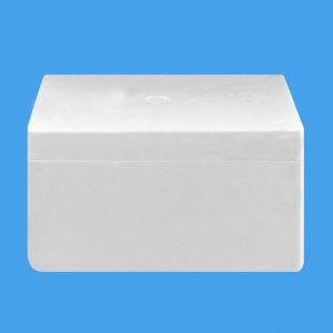 荔枝天行（中国）