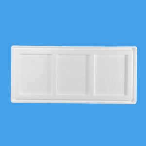 三文鱼天行（中国）